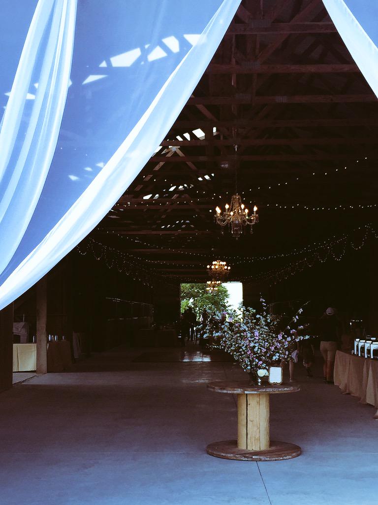 lunasaevents's tweet photo. Our team will make sure every #wedding is as perfect as Liz & Brad's! #AlwaysPlanned #KentuckyWedding #EventProfs http://t.co/QZcsoglMmJ