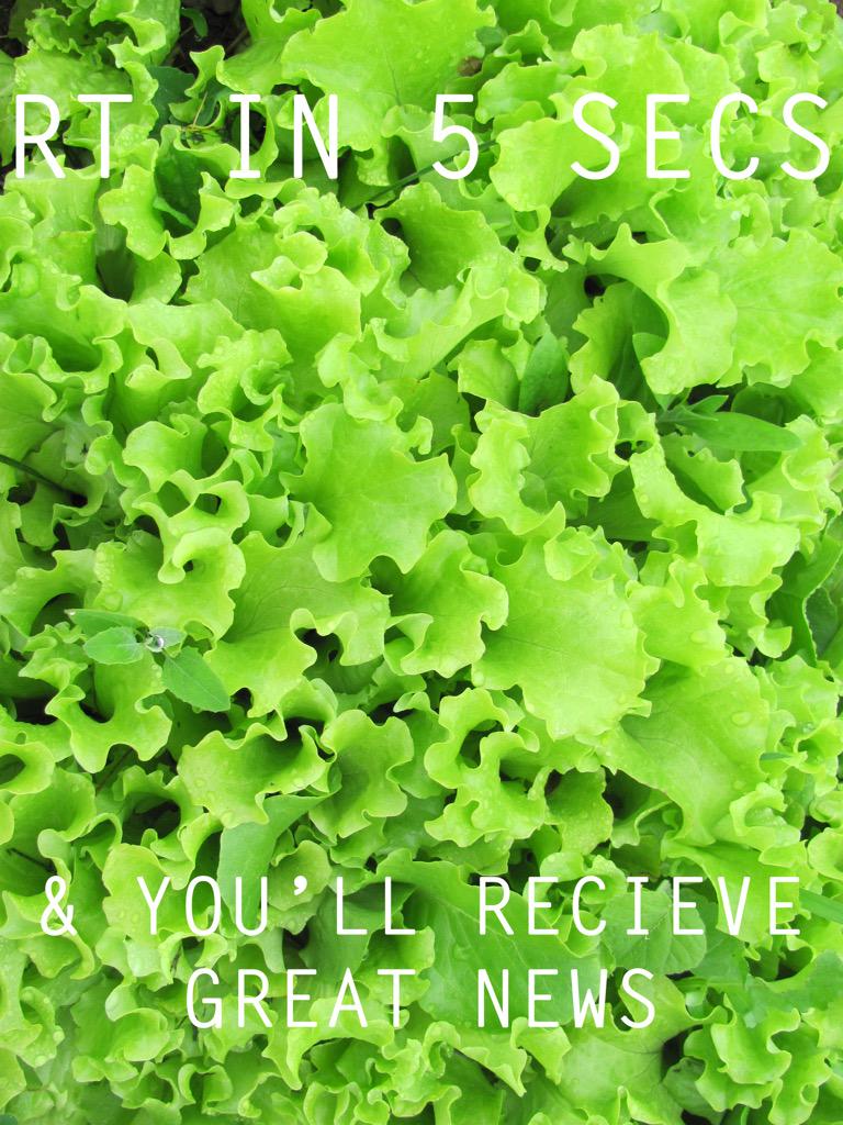 Please lettuce all pass our finals