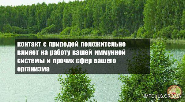 impouls_org_ua's tweet photo. http://t.co/iGF5PxxLxU