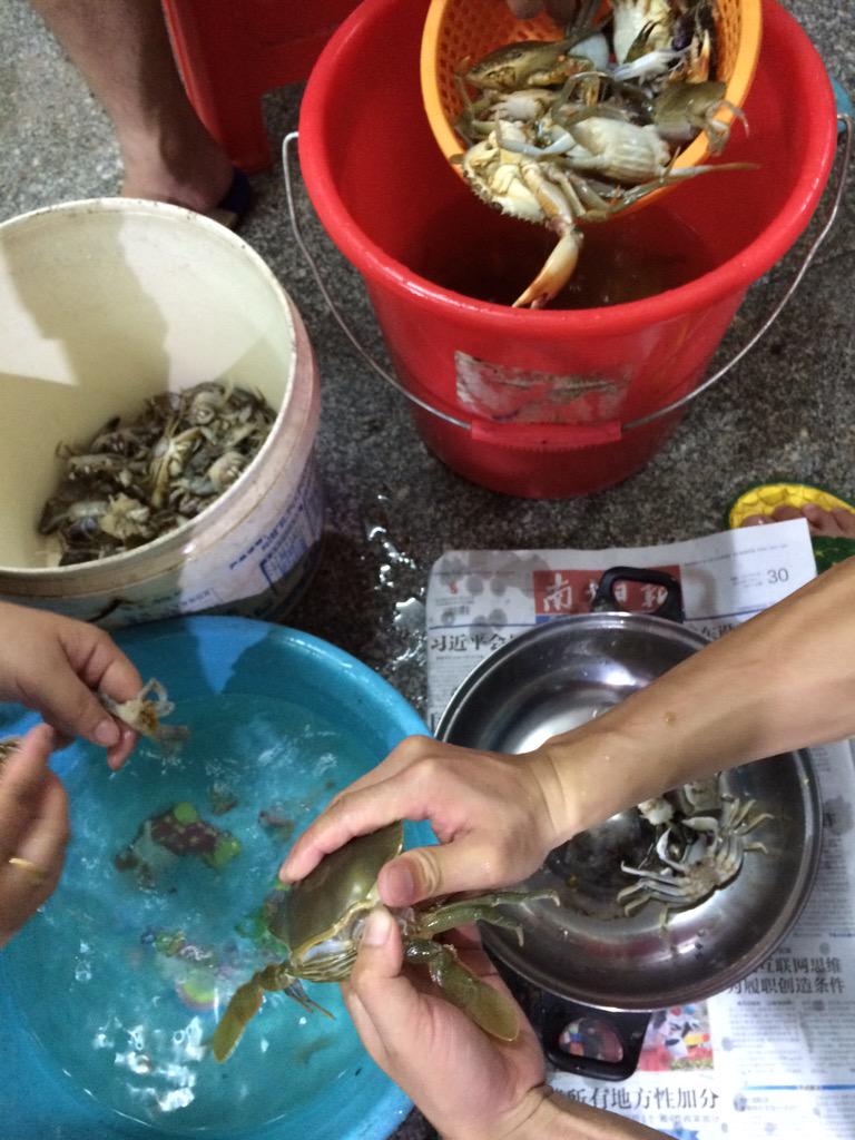 cwfstation's tweet photo. 昨晚出动，计划赶沙蟹，竟然意外收获了海马和很多石蟹、膏蟹 http://t.co/AxtN3Khod7