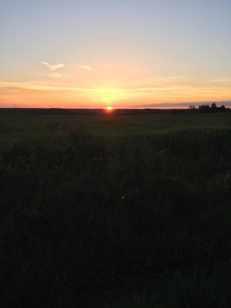 HVasa117's tweet image. Distance in miles, but never in heart #samesunset