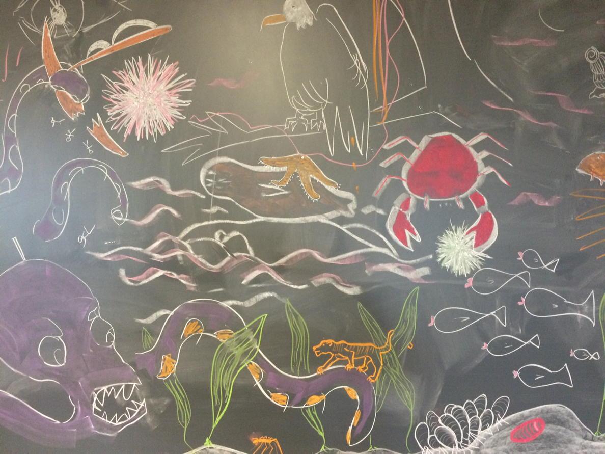 lyndellmbade's tweet photo. Original #sciart by Experimental Marine #Ecology class during #batesshortterm #NotToScale :) @BatesCollege http://t.co/ThbkI4tbuv