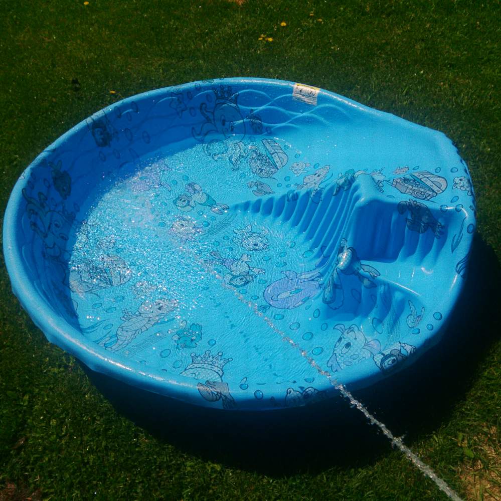 treenadebassige's tweet image. went for a swim the other day in my pool #turtlepool #floatywings #poolday
