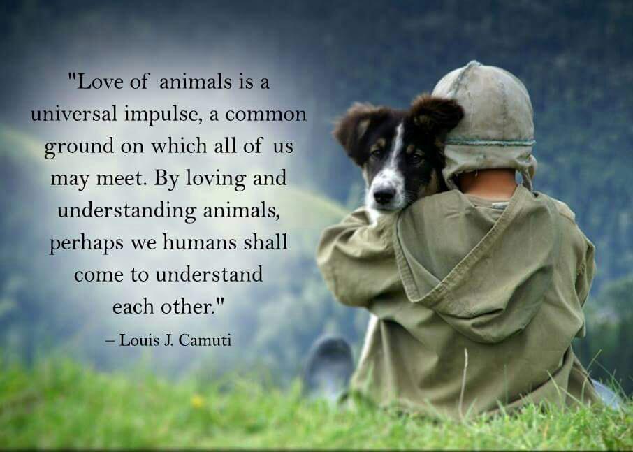 A Devoted Yogi on Twitter: "Love of animals... #quotes #quote #