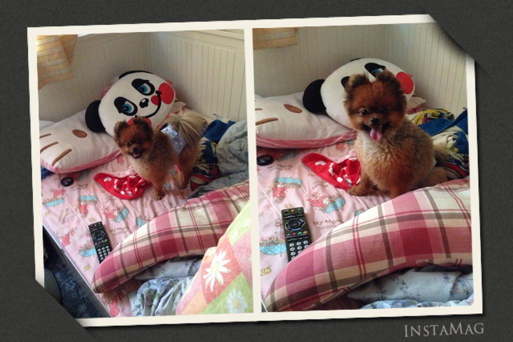 SasUke2jb's tweet photo. ひはわは、さま http://t.co/b1RanavlTL