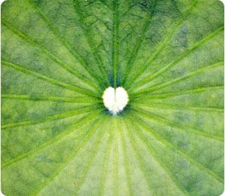 BloomNow's tweet image. Vanmiddag @Bloomersworld #Mindfulness workshop en stand op ARBO middag #Zuidhorn m Elsbeth Huizinga, HanzeHogeschool