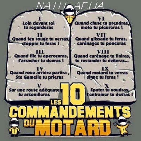 BikerWolf_Be's tweet image. Tellement vrai