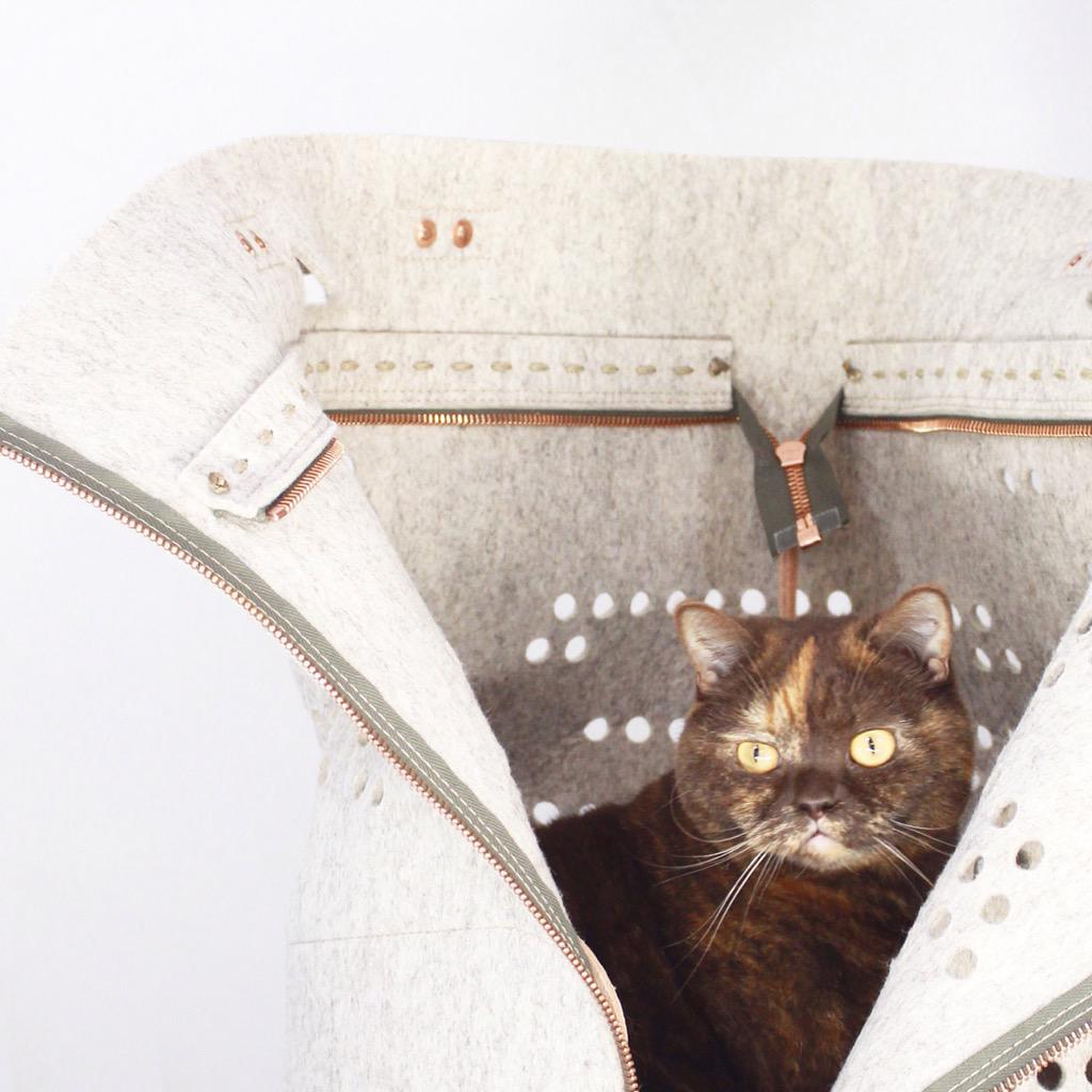 Snorhaar tweet media