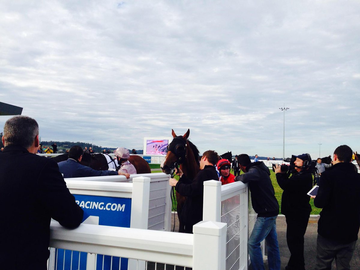 1000giggles's tweet photo. @PakenhamRacing R5 @Racing .com maiden winner #Parkinson #DanielStackhouse 4 @tjpracing @adam_sangster http://t.co/N1a6UYBPuL