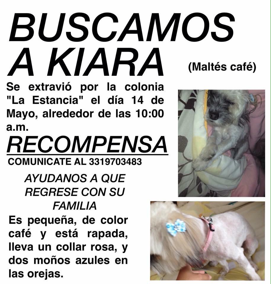 Amor X los animales♥ tweet media