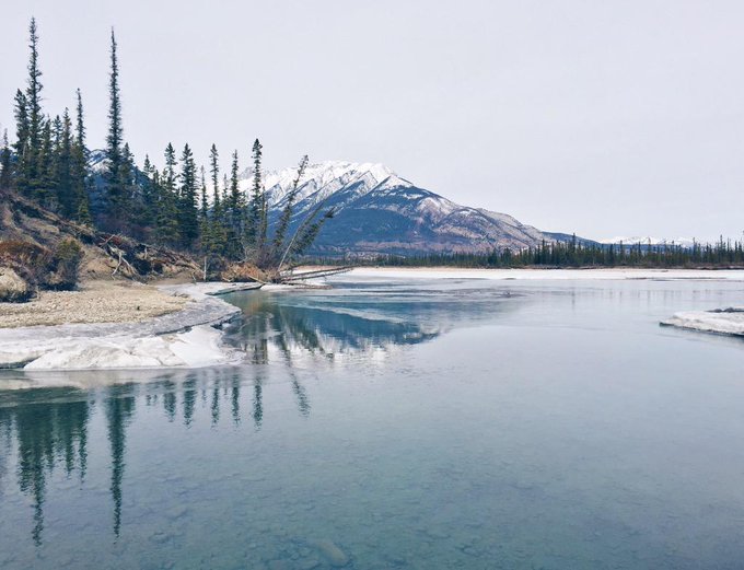 Love stumbling upon instances of beautiful design in nature. https://t.co/3FCDaPO94t http://t.co/WPJ<a href="/tag/worldcup"class="tags"><span>#worldcup</span></a>