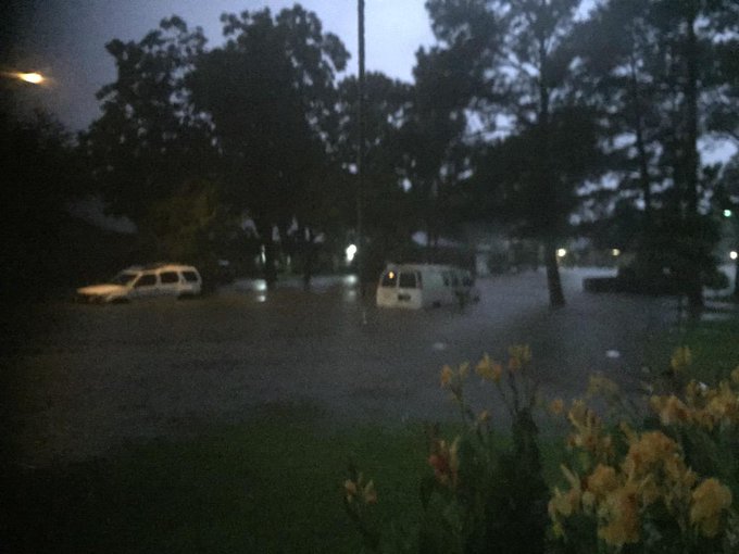 View image on Twitter View image on Twitter