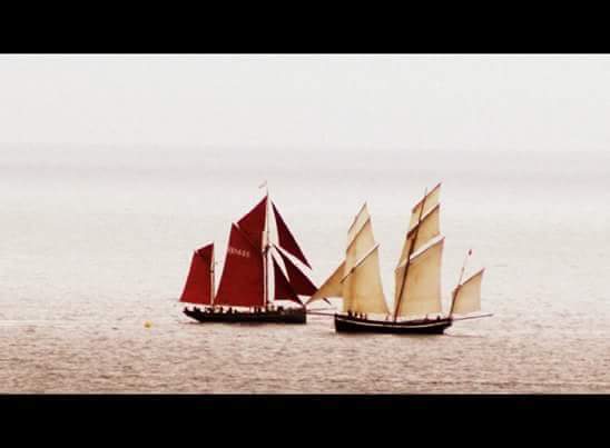 bsc01665's tweet photo. Brendan Stewart a member of BSC skippered Pilgrim of Brixham to victory in the George V heritage race. http://t.co/TVk4FnHtDY