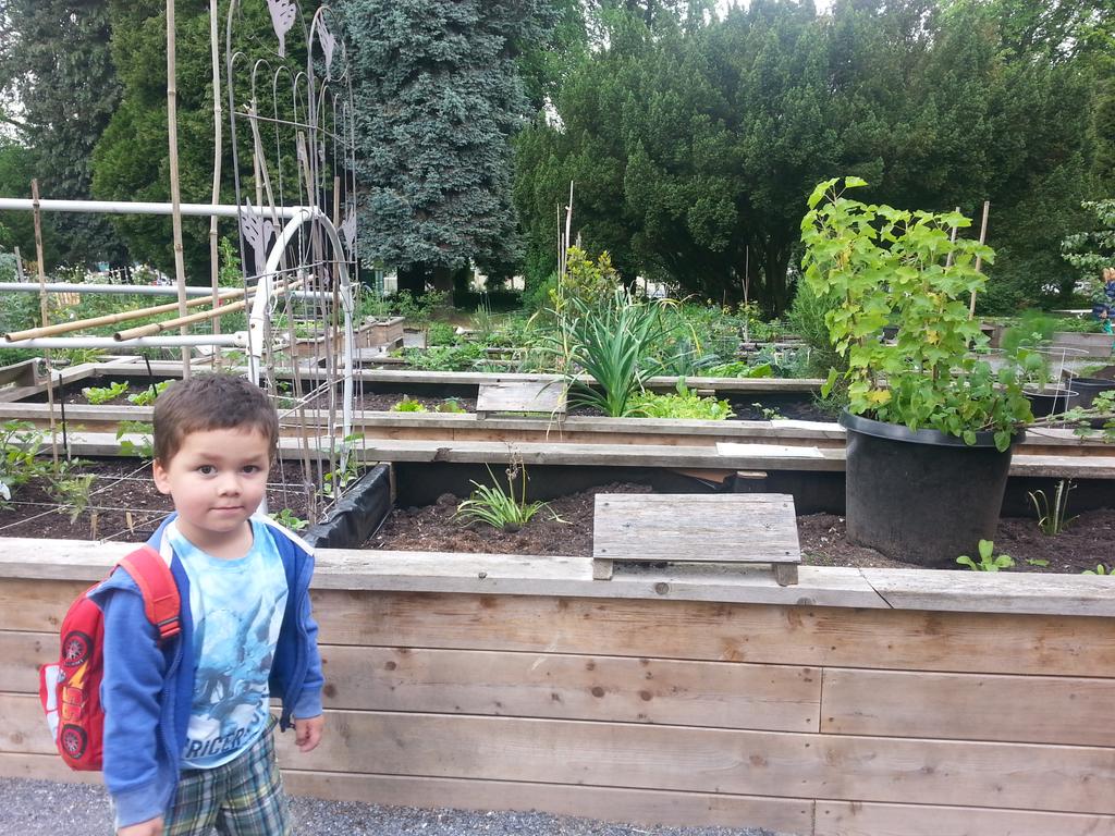 MarkSynan's tweet image. Yep, future landscape architect in the making....