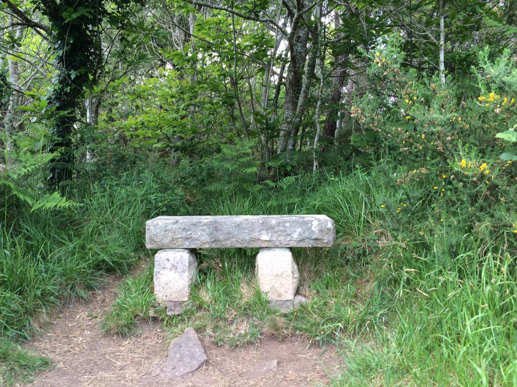 BreizhWeCan's tweet image. Que la force et l'esprit de la #Bretagne soient avec vous cette semaine !