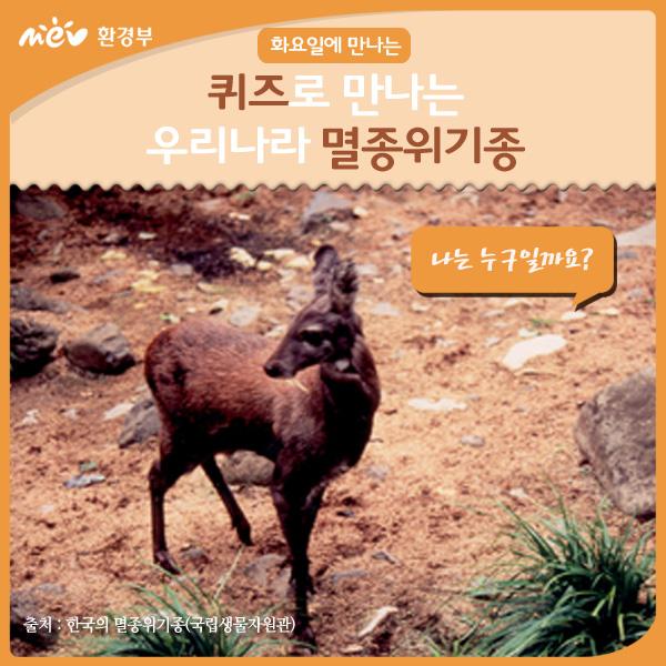 mceekorea's tweet image. [퀴즈로 만나는 멸종위기종] 경사지, 절벽에도 쉽게 서식하며 멸종위기 야생생물Ⅰ급인 나는 누구일까요? 'RT+정답'을 남겨주신 5명에게 문화상품권 증정(6/1종료) 힌트▶me2.do/GPVfEQvK