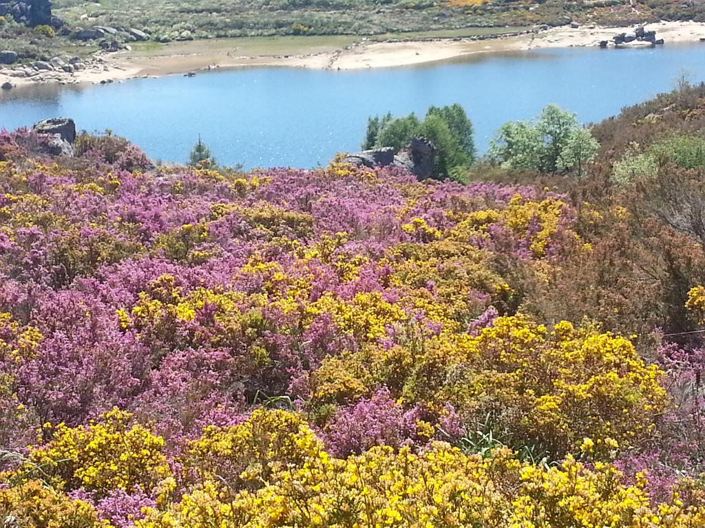 manuel_sanpedro's tweet photo. ...fantastico lugar...para disfrutar...!!! http://t.co/iTc9lIX1n1