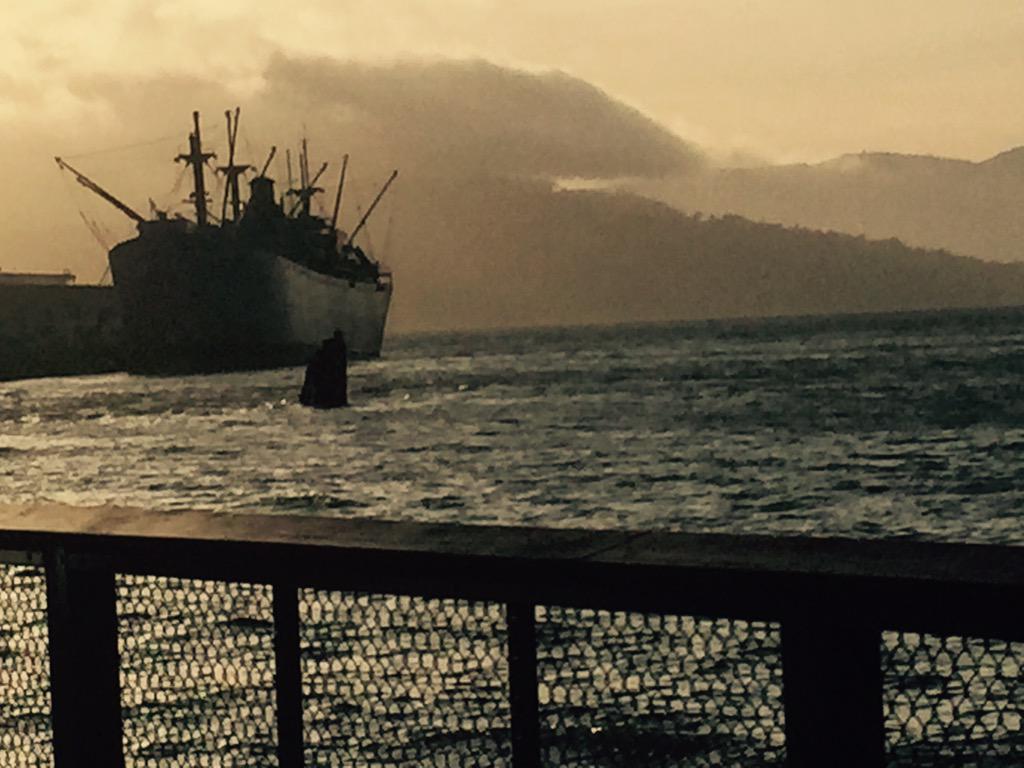 therealjclee_'s tweet photo. Eye candy everywhere in #SanFrancisco if u love to photograph take a visit &amp; even without a picture it's remarkable http://t.co/MeMeRrLd9O