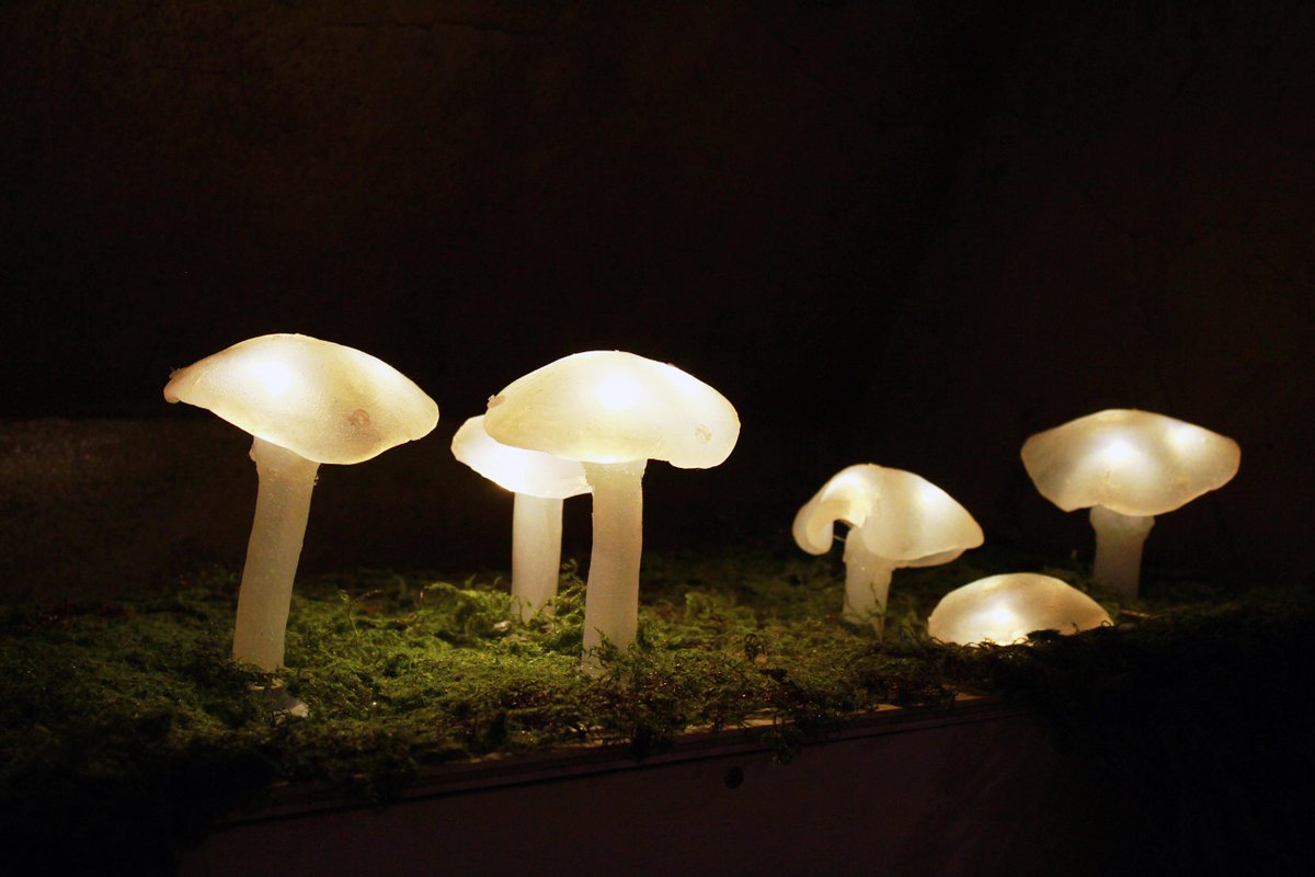 Bris_Powerhouse's tweet photo. Interactive artwork in @SLQedge + @BrisbanePowerhouse collab #MadeWithLight: Underground by Jonathon Istria. http://t.co/fOuLWHwhnv