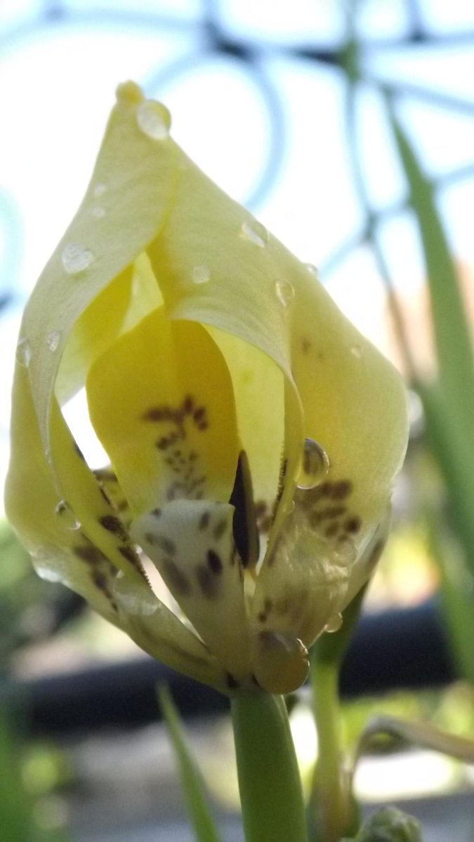 pagi lalu <a href="/NgetripMJLK/">TelusurAlam-MJLK</a>