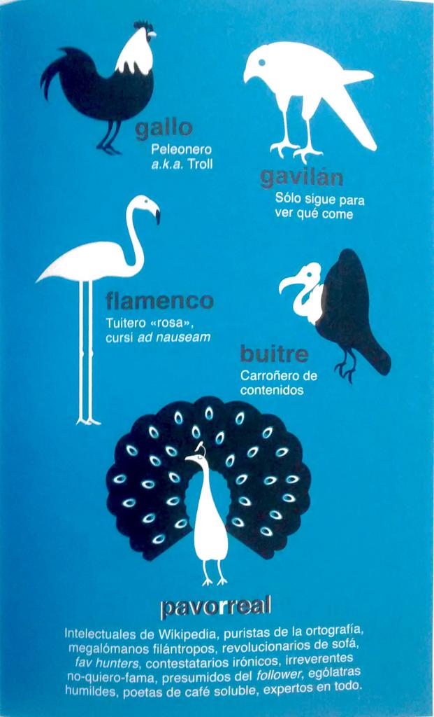 anonimoconiglio's tweet photo. Ornitologia del Twitter. E voi che classe di utente siete? Un saluto ai pavoni qui dentro! (via C.I di @sallesino) http://t.co/CqXFo8b4uH