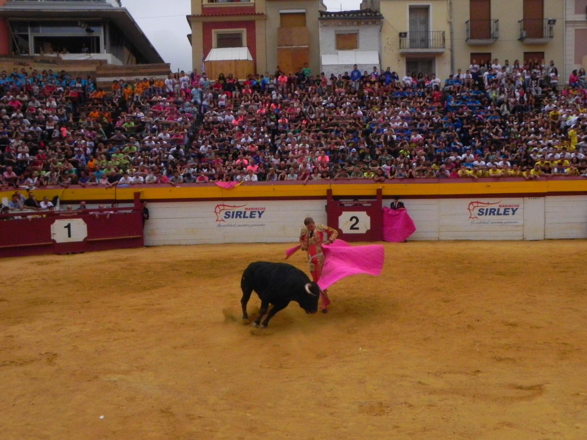 verdeguer's tweet photo. CORNADAS PARA TODOS: l'estructura de la setmana de bous d'#Algemesí 2015... http://t.co/FliFFXP4fO @Comisioalgemesi http://t.co/jCdvljUcXl