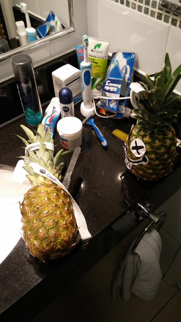 p_greywolf's tweet photo. Woke up this morning to find this scene. Was shouting last night. #CFz2015 #furrypineapple #furrydrama http://t.co/v172h5LKY8