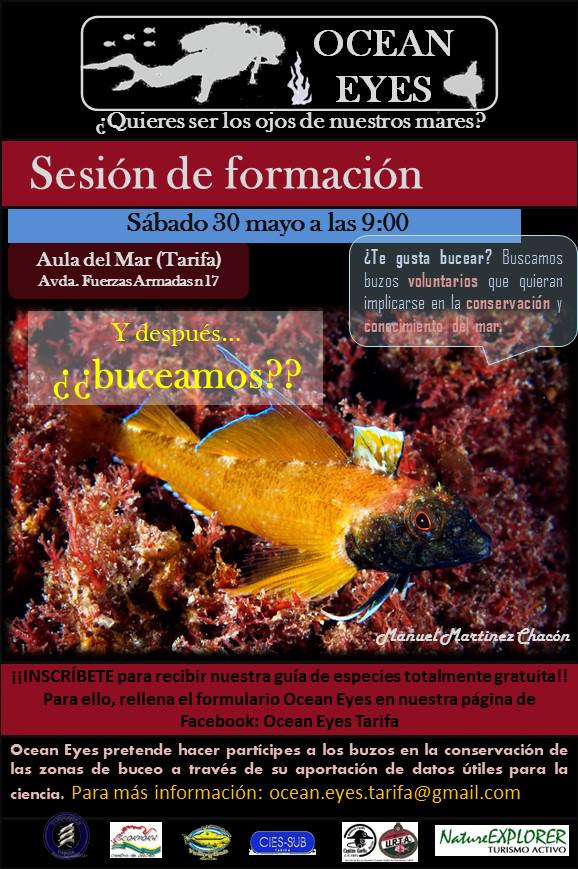 OceanEyesTarifa's tweet photo. ¡Última sesión del curso! ¡Anímate y participa! Posterior inmersión para los que ya sois voluntarios :) http://t.co/4Pg1IdQhv4