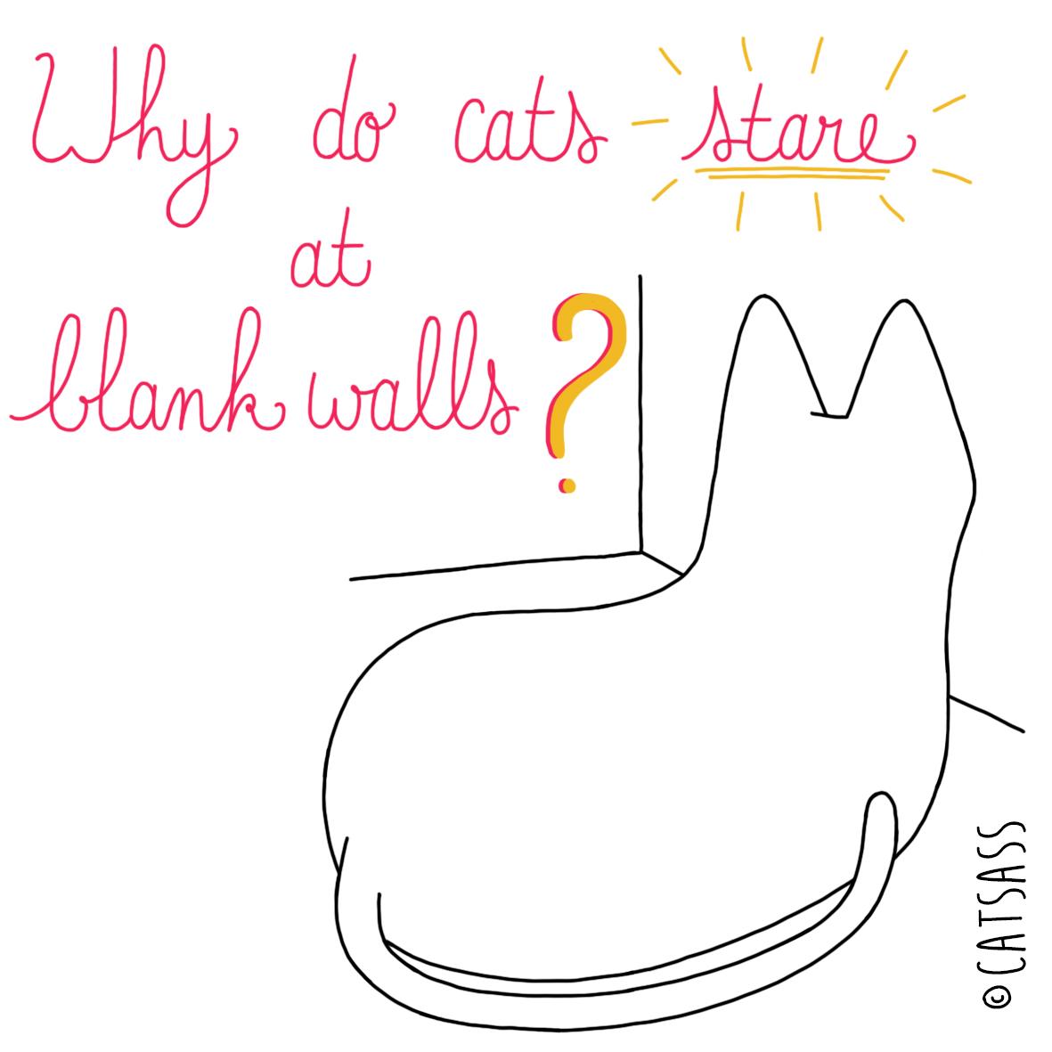 #contest: Go to facebook.com/catsassme and share your ideas! The best submission will be Catsass's next #comic!