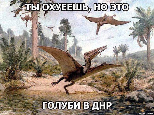 Подразделение разведки Нацгвардии получило качественную форму харьковского пошива - Цензор.НЕТ 1877