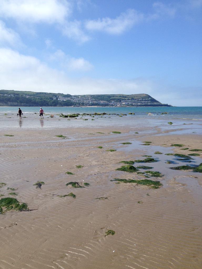 RTraeth's tweet photo. Eat n Greet #@RTraeth #freshseafood #ceredigion #homemadefood#yummylicious http://t.co/p14yrwLXKE
