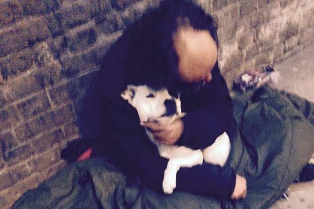 standardnews's tweet photo. Homeless man reunited with his beloved dog after she was 'stolen by fake policeman' http://t.co/hwK3LQqBug http://t.co/U4getIq7Je