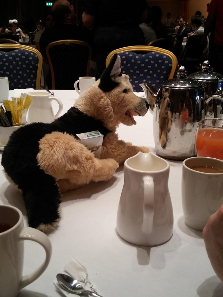 p_greywolf's tweet photo. Breakfast pup says 'ciggies and coffee, the way to start the day' #cfz2015 #cfzlive http://t.co/kW5CFK8POw
