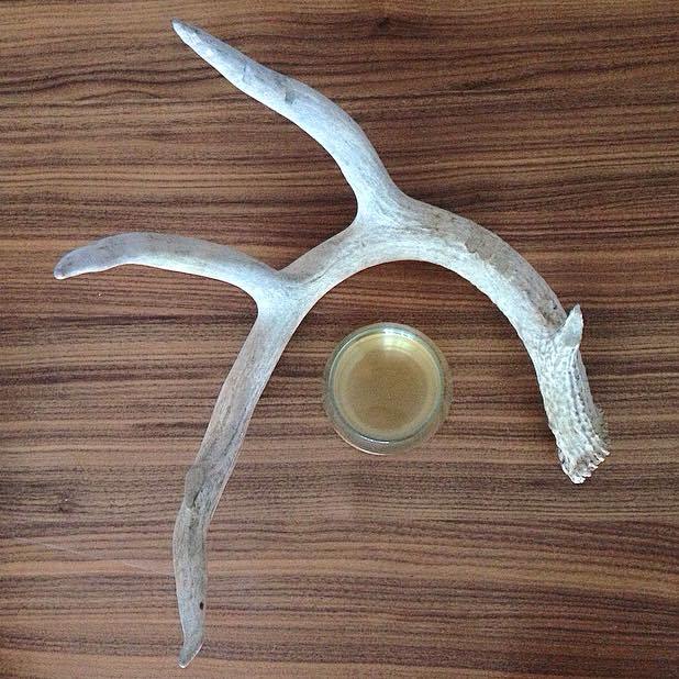 NorthernKombuch's tweet photo. Rise and Grind.. How are you starting your morning?
#kombucha #betterthancoffee http://t.co/bVoxU096D1