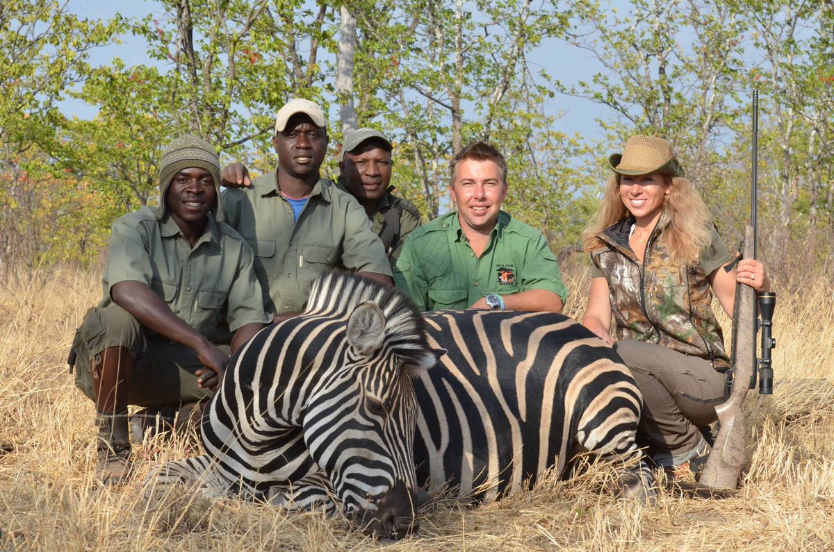 ProisHunting's tweet image. Prois staffer, Ruth Cusack, with a #Burchell's #zebra in Zimbabwe. What a beautiful animal! #ProisWasThere