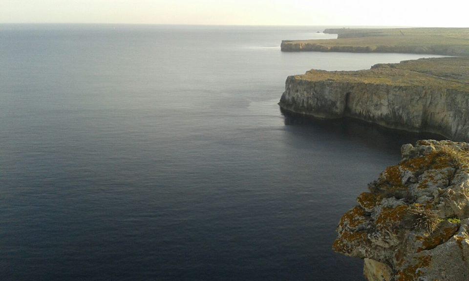 #Menorca #nofilter #slooow #primavera #walkingMinorca #Minorque #pocapoc #printemps #Wow #Minorca #spring #sinfiltro