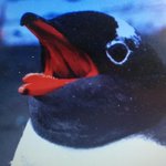 Photo by Maptime Oslo (@MaptimeOSL)