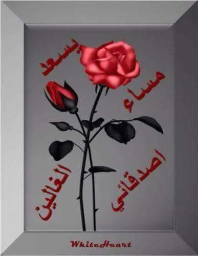 adboradwen361's tweet photo. http://t.co/C09U8tNylC
