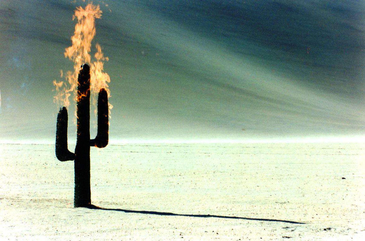 PMF_ltd's tweet photo. A photograph from a #film shoot Patricia shot in #Namibia You can find on http://t.co/S7UXOqLpy5 #film #MadMax http://t.co/HZB09HPACh