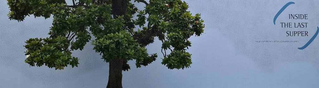 ginugiola's tweet image. #HubLeonardo, il #Genio alle #Stelline: polo info/multimediale+visione olfattiva+educational+tecnologia+accoglienza