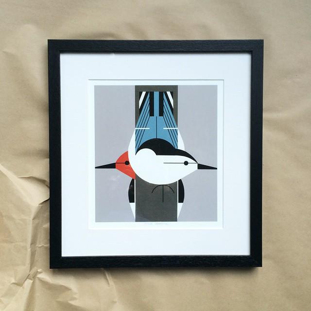 TenThingsStore's tweet image. Sending out lots of lovely Charley Harper prints. info@tenthings.com.au to go on the wait-list for sold out styles.