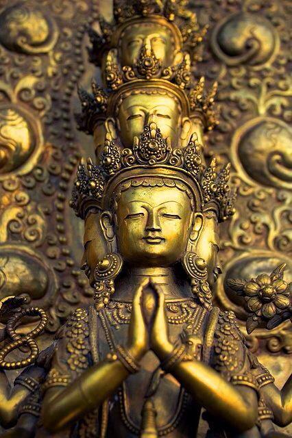 Compassion
Save #Tibet བོད
savetibet.org/resources/all-…