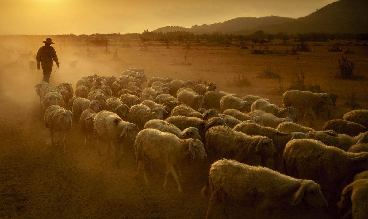 Head on over to our Facebook page to view some of our favourite images from this week: goo.gl/Xj9zVd