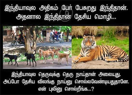 VamaniDei's tweet photo. http://t.co/H604Xt1PEu