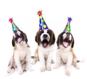 Vets4PetsAltrin's tweet photo. #New #puppy? We hold weekly Puppy #Parties for early #socialisation &amp; great #advice from Ellie! Please 📞 to book. http://t.co/AeqiHlw4m9