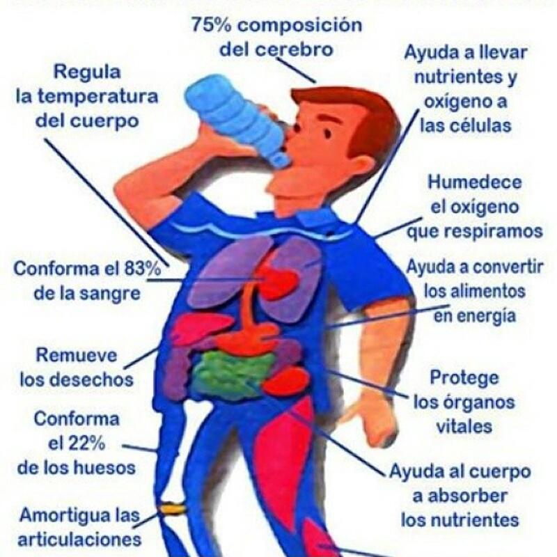 MagroControl's tweet image. Toma mínimo 2.5 litros de agua.
