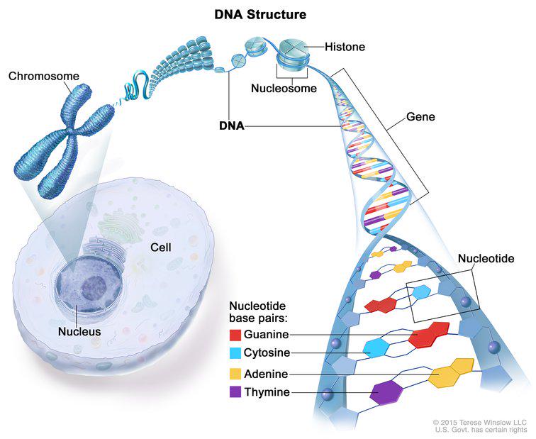 theNCI tweet picture