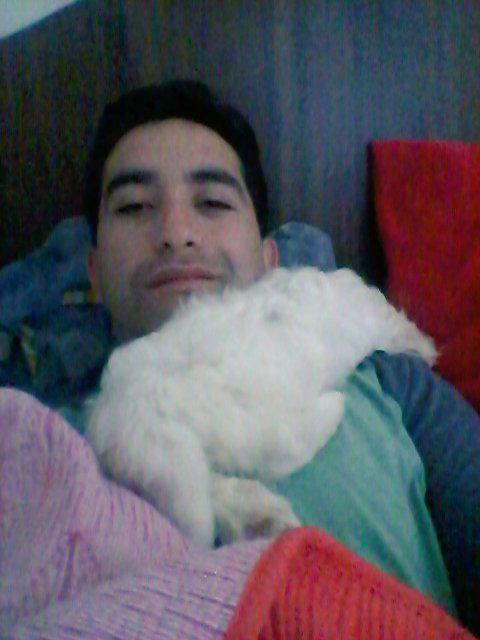 toyhablandoweas's tweet photo. Humano puedo dormir en tu pecho ???? Me da igual ya estoy durmiendo !!! #mialover http://t.co/A8pVKyxMVk