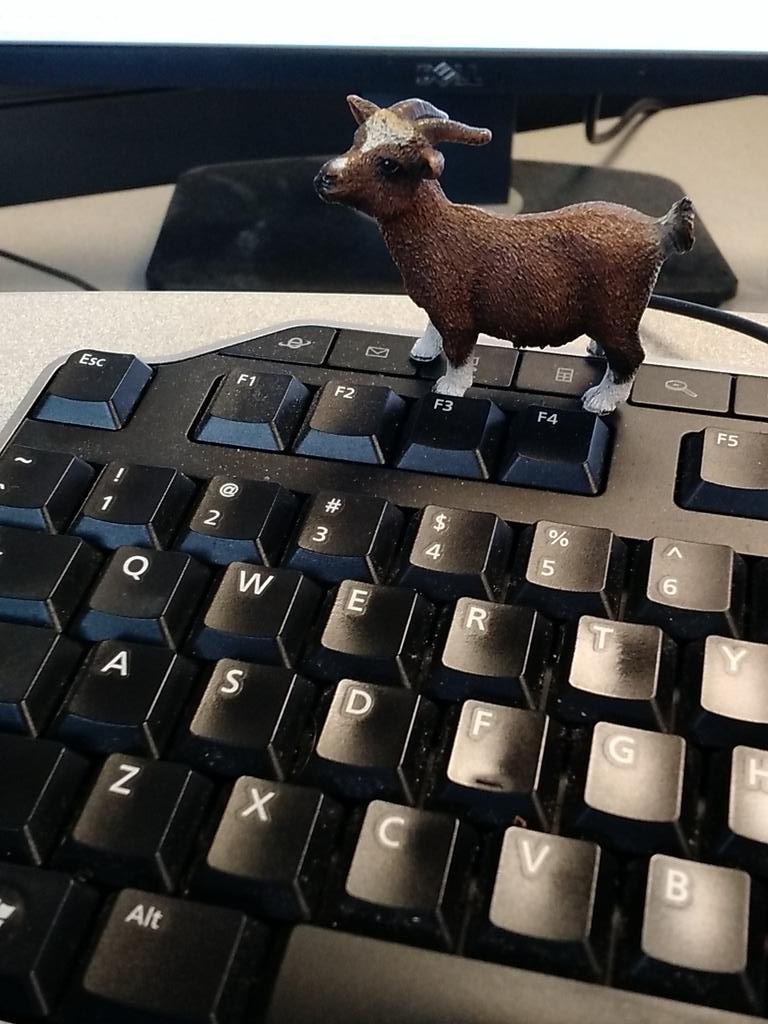 InsideGoat's tweet photo. Working hard or hardly working? http://t.co/IvmBoUvFb9
