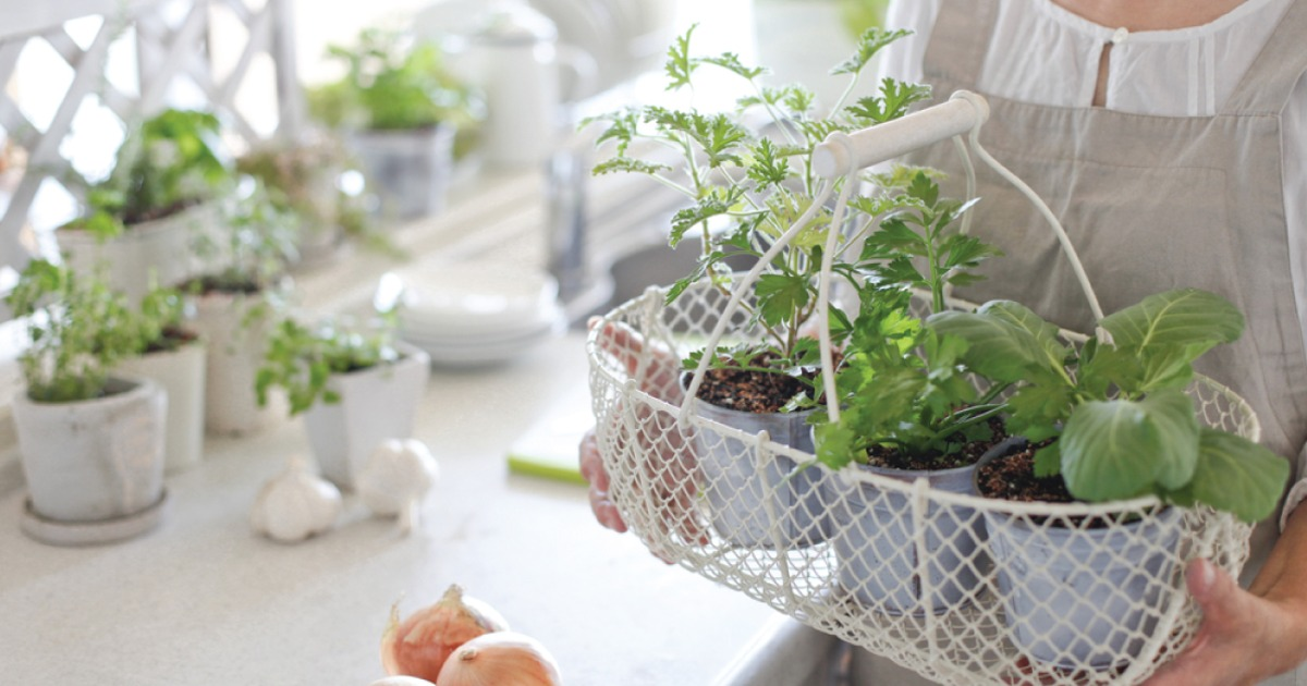 smc_RE's tweet photo. No yard? No problem. Creative ways to make a garden paradise in an urban home: https://t.co/z04LGW2HTT http://t.co/TA8lPWw6Cq